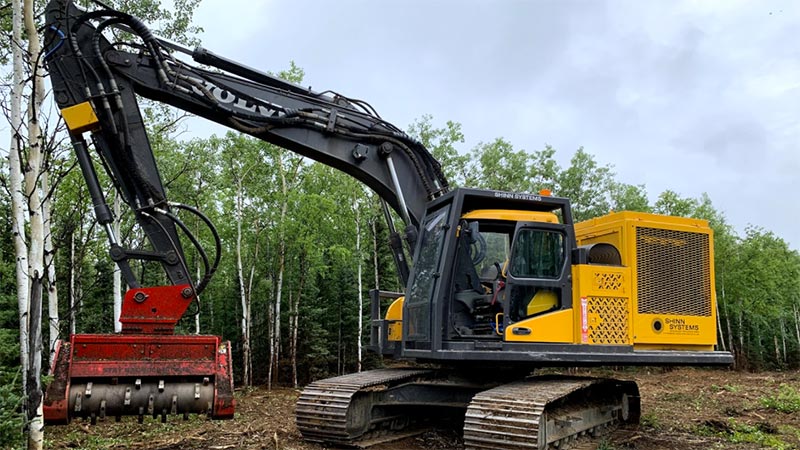 forest mulching