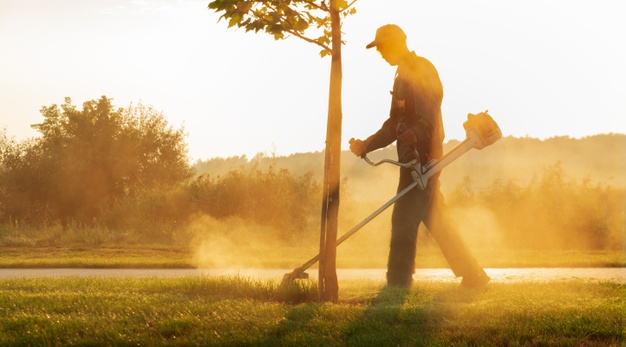 commercial grounds maintenance